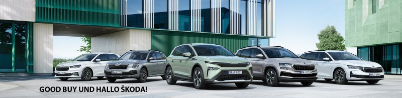 https://www.auto-wiegand.de/cat/index/sCategory/39