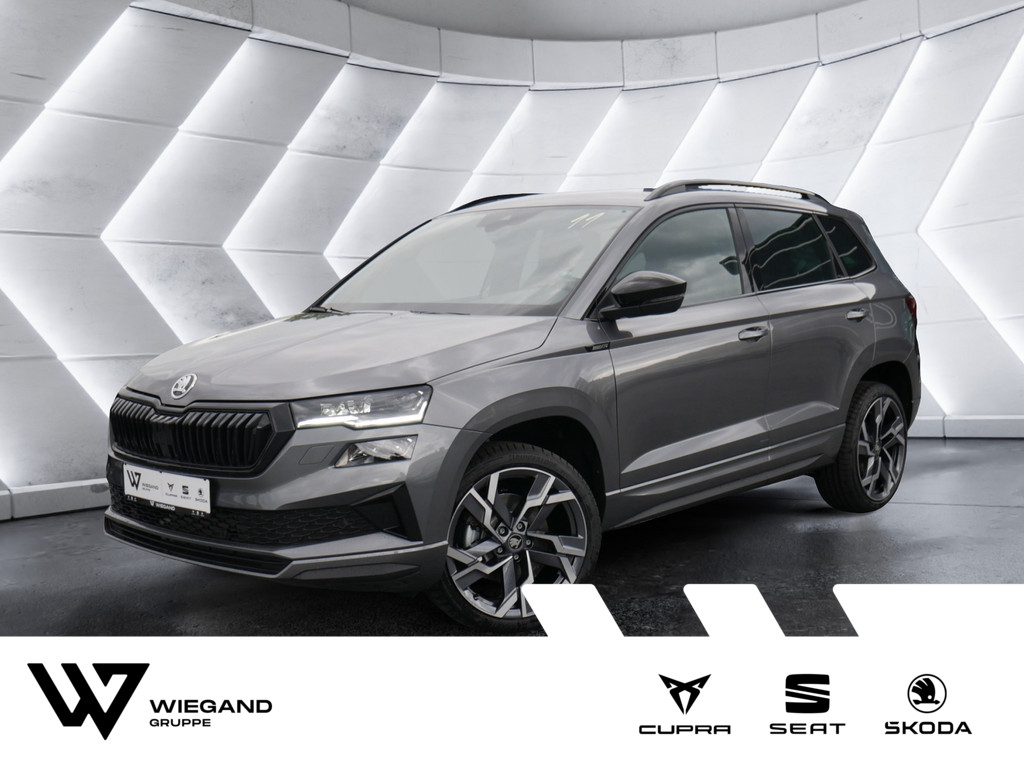 SKODA Karoq - Ansicht 1