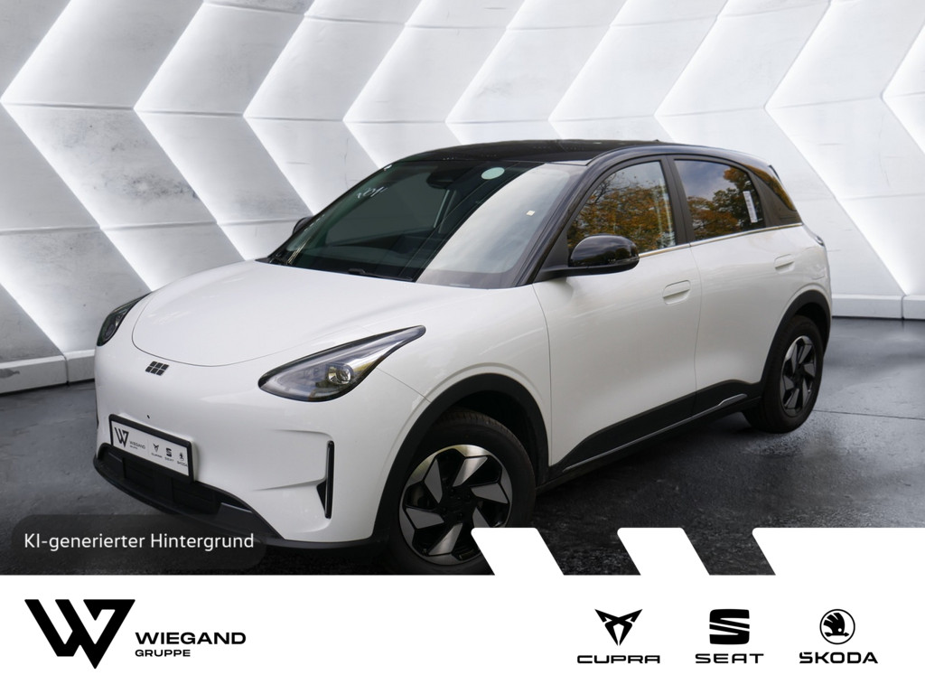 GEELY ANDERE - Ansicht 1