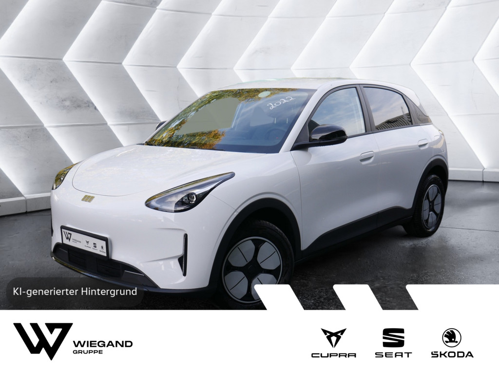 GEELY ANDERE - Ansicht 1