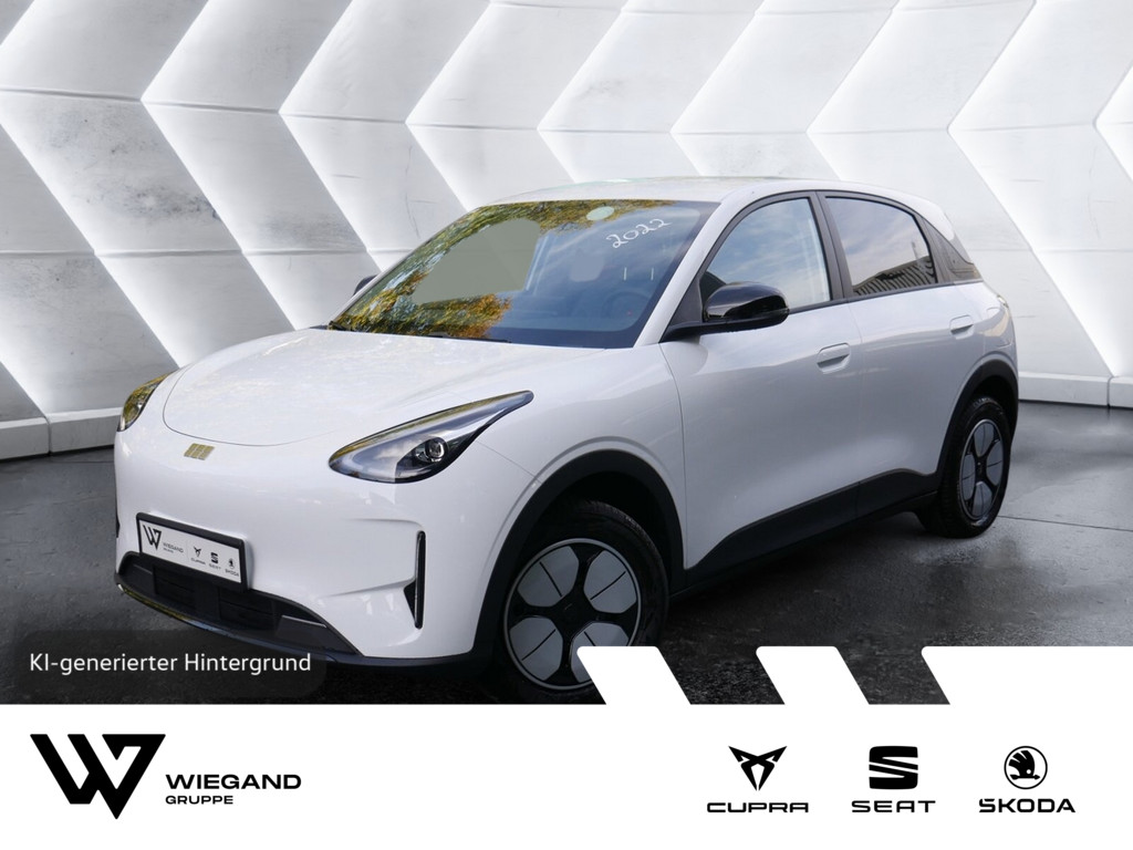 GEELY ANDERE - Ansicht 1